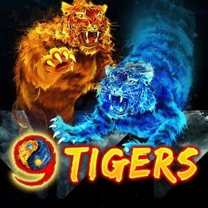 9 Tigers